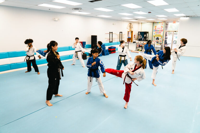 Taekwondo Classes Newtown CT - World Champion Taekwondo - Youth & Adult